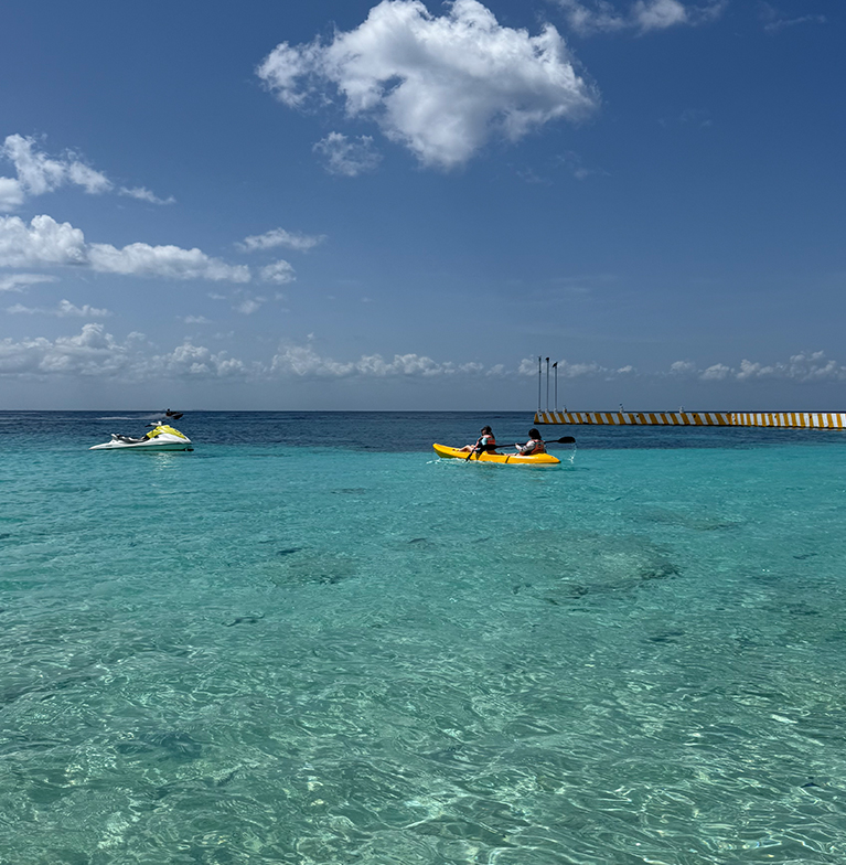 cozumel tours